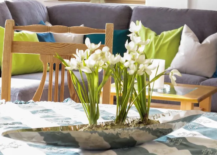 Fischer By Interhome Сasa de vacaciones