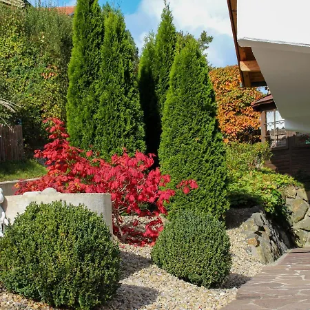 Fischer By Interhome Holiday home Lechbruck