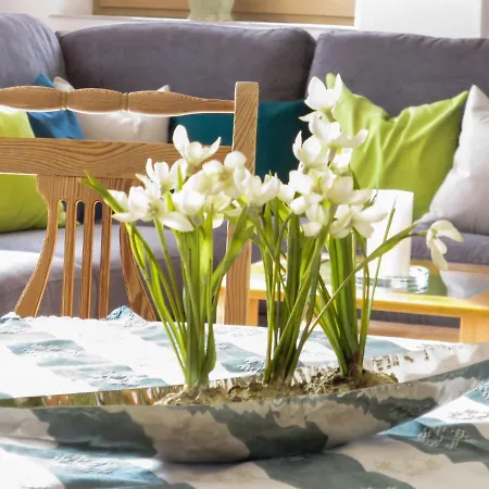 Fischer By Interhome Vakantiehuis